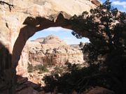 Arche naturelle, creusée par l'érosion, Capitol Reef National Park, États-Unis