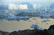 Grands icebergs (jusqu'à 180 m de haut) dérivant vers la mer depuis Isfjord, baie de Disko, à l'ouest du Groenland