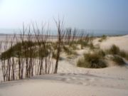 Face à la menace d'invasion marine, les Pays-Bas doivent stabiliser leurs dunes (Noordzee, Zélande)