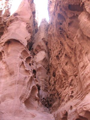 Roche sculptée par l'érosion éolienne (Eilat Mountains, Israël)